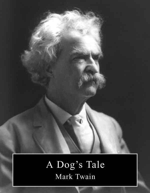 A Dog's Tale
